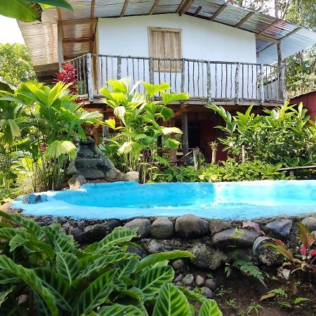 Cabana Vista Rio Celeste Exteriör bild
