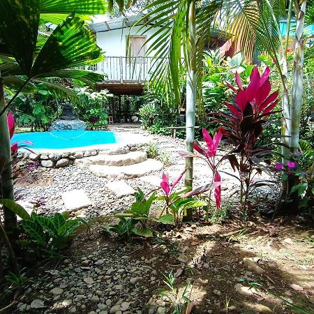 Cabana Vista Rio Celeste Exteriör bild