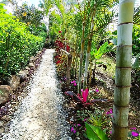 Cabana Vista Rio Celeste Exteriör bild