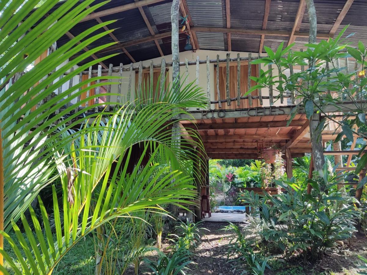 Cabana Vista Rio Celeste Exteriör bild