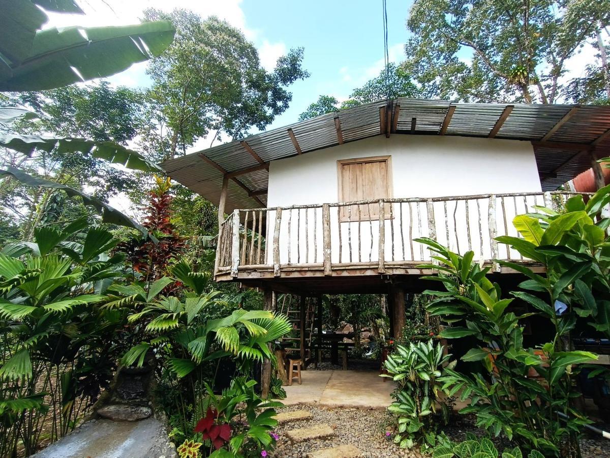 Cabana Vista Rio Celeste Exteriör bild