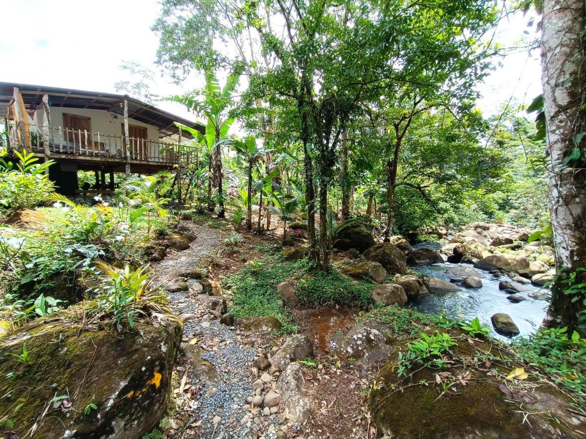 Cabana Vista Rio Celeste Exteriör bild