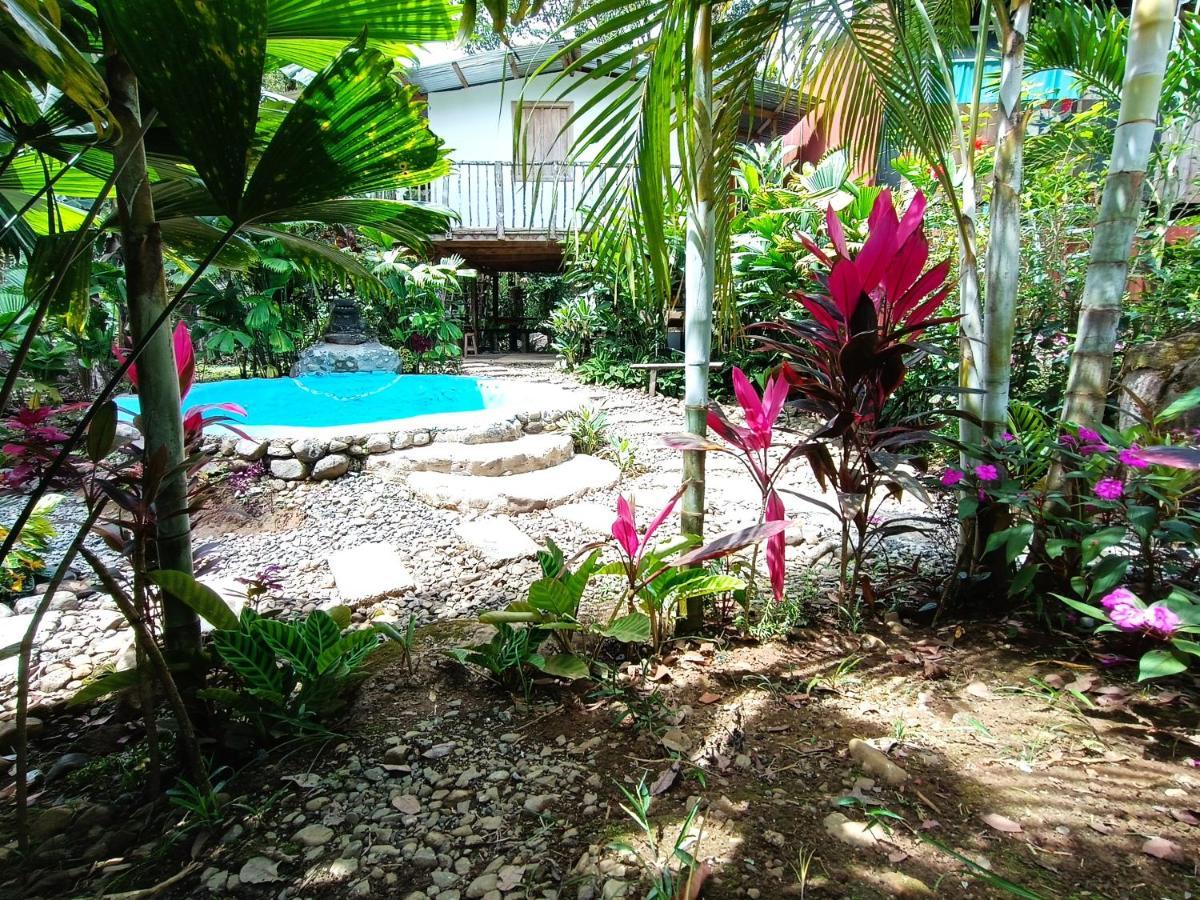 Cabana Vista Rio Celeste Exteriör bild