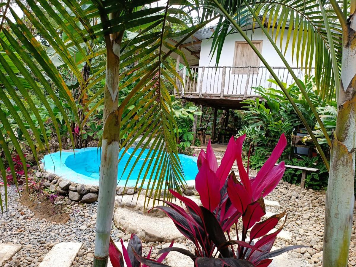 Cabana Vista Rio Celeste Exteriör bild