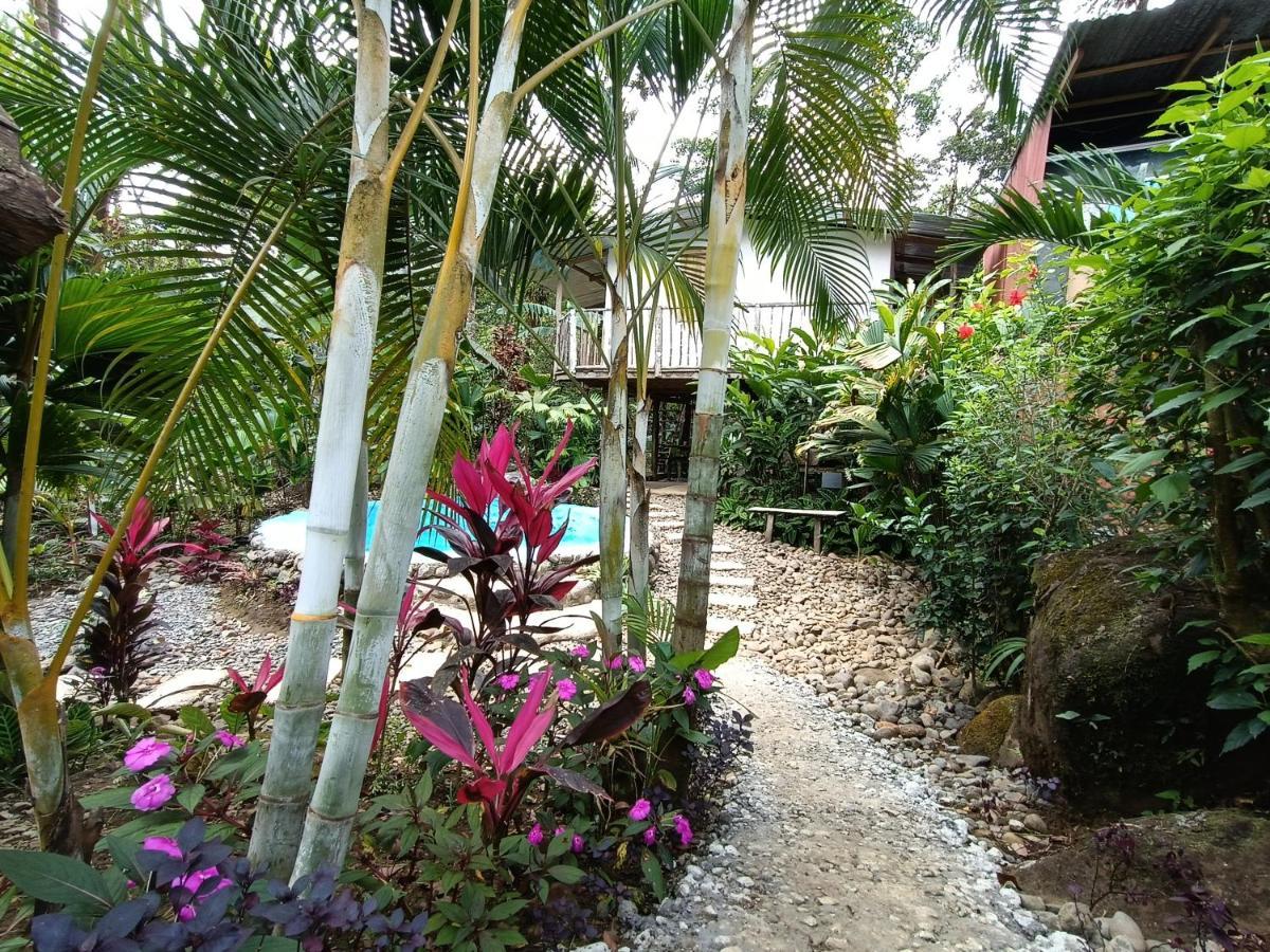 Cabana Vista Rio Celeste Exteriör bild