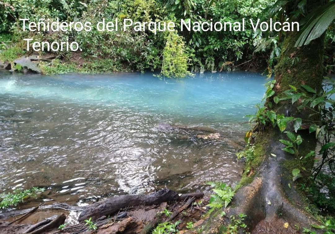 Cabana Vista Rio Celeste Exteriör bild